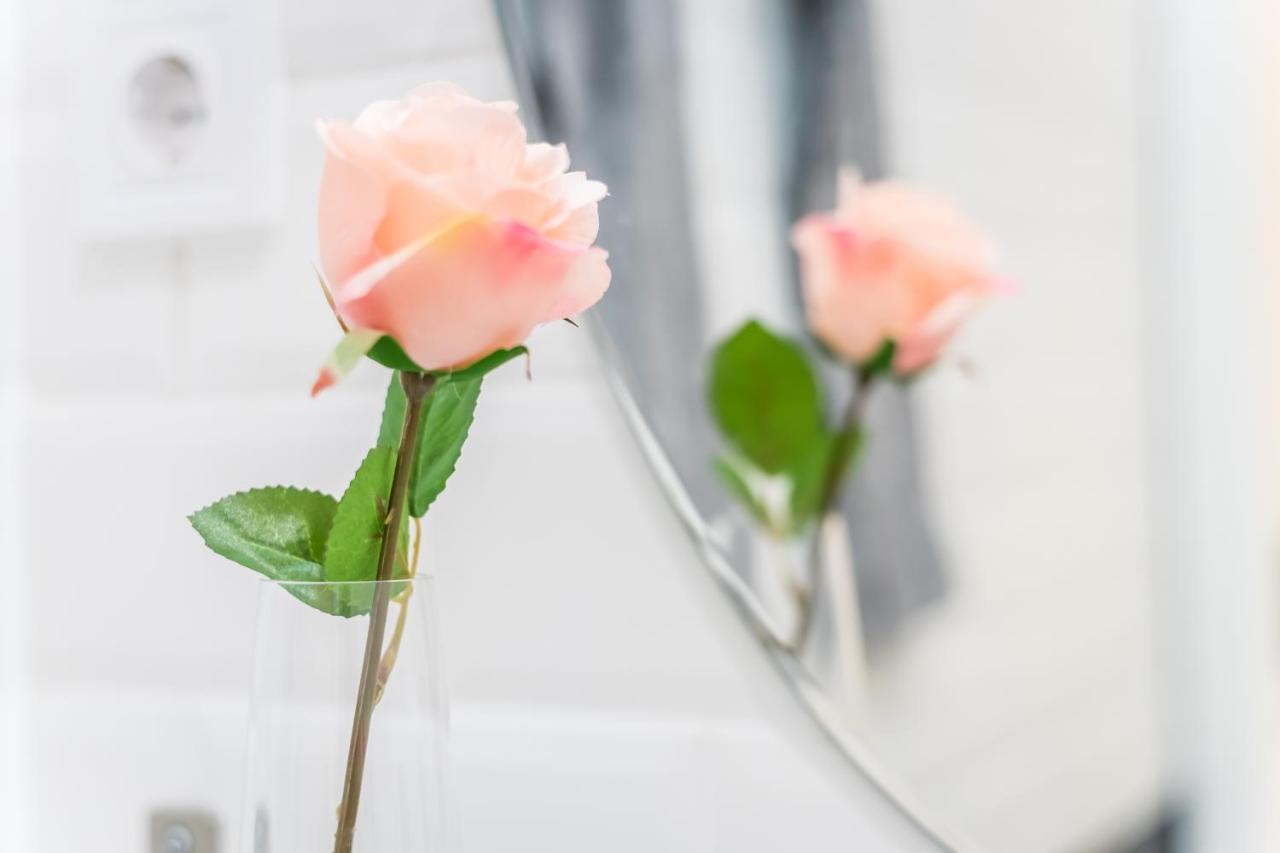 Cosy Studios In The Heart Of The City 부다페스트 외부 사진