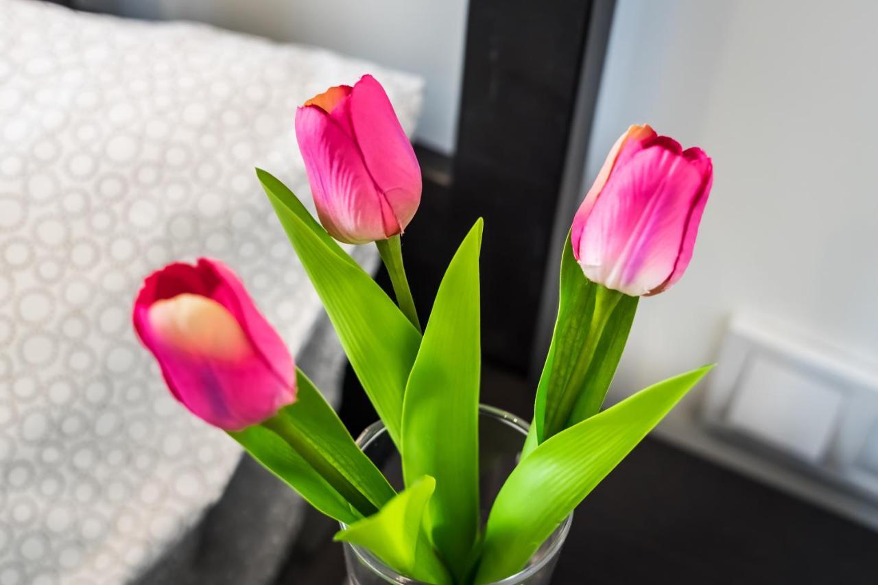 Cosy Studios In The Heart Of The City 부다페스트 외부 사진